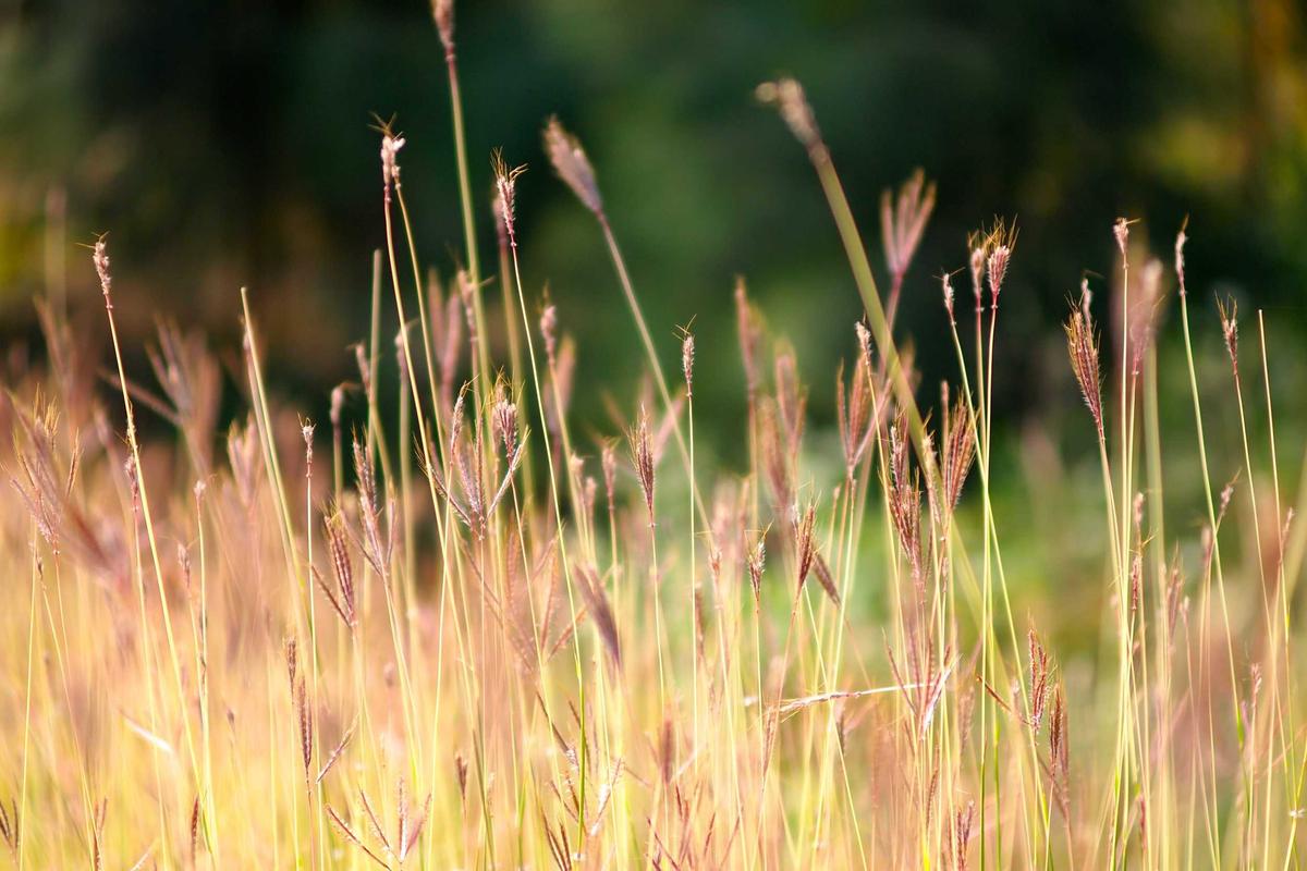 Avoiding Common Pitfalls With Bank Sign-Up Offers