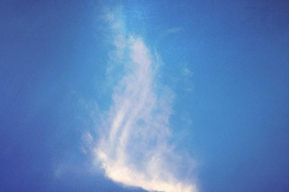 Eligibility Rules and Why Your Application Might Get Rejected