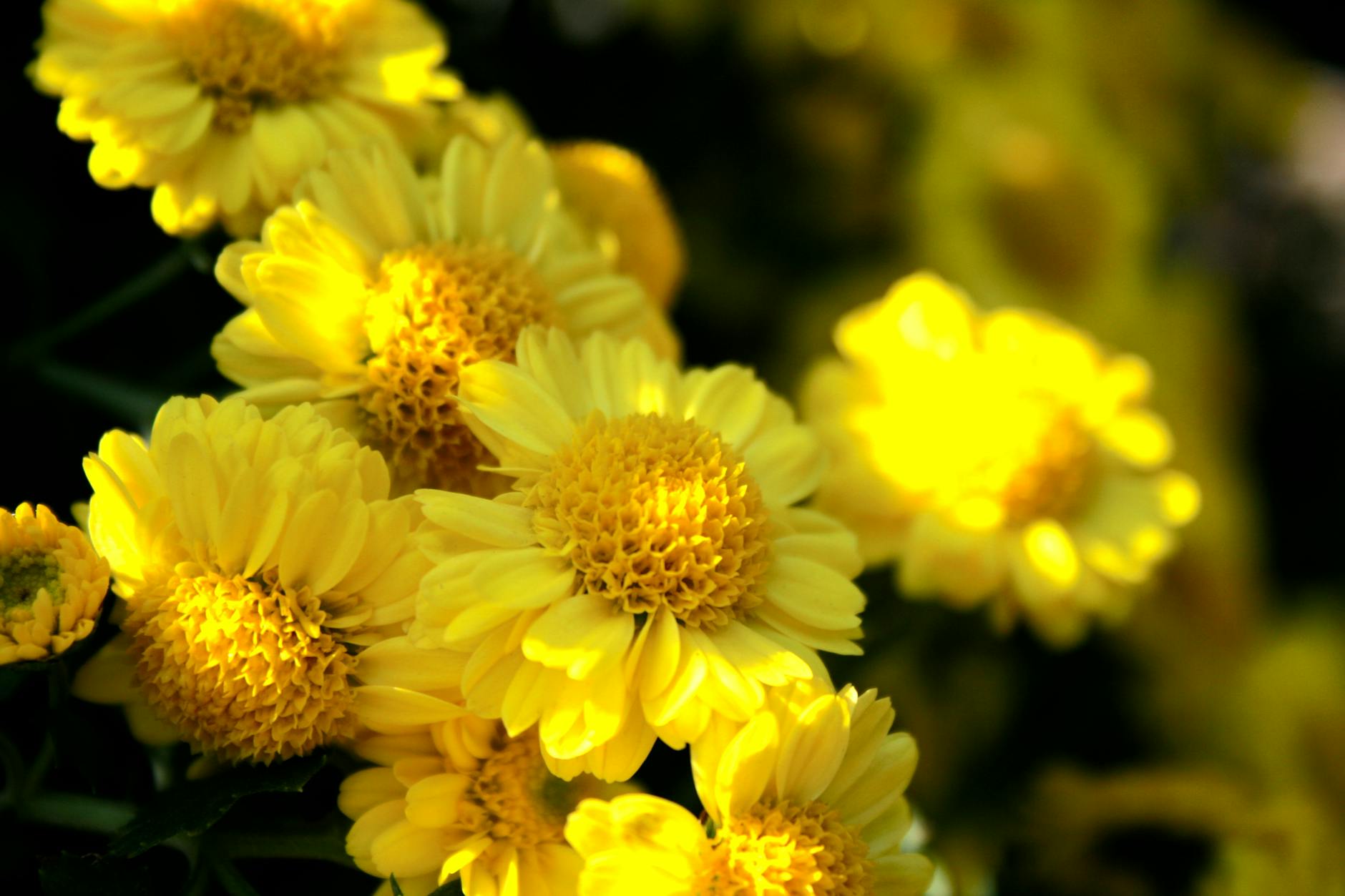 How Are Kroger Customers Saving $300 a Year With Digital Coupons?