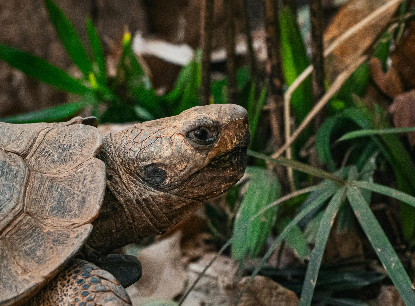 How Much Free Money Are You Actually Leaving on the Table?