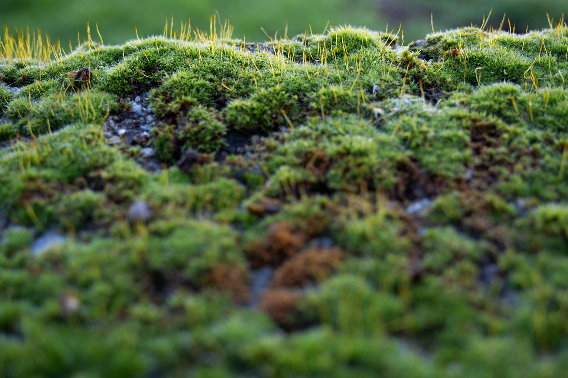 How Much More Do Bank Bonuses Actually Pay?