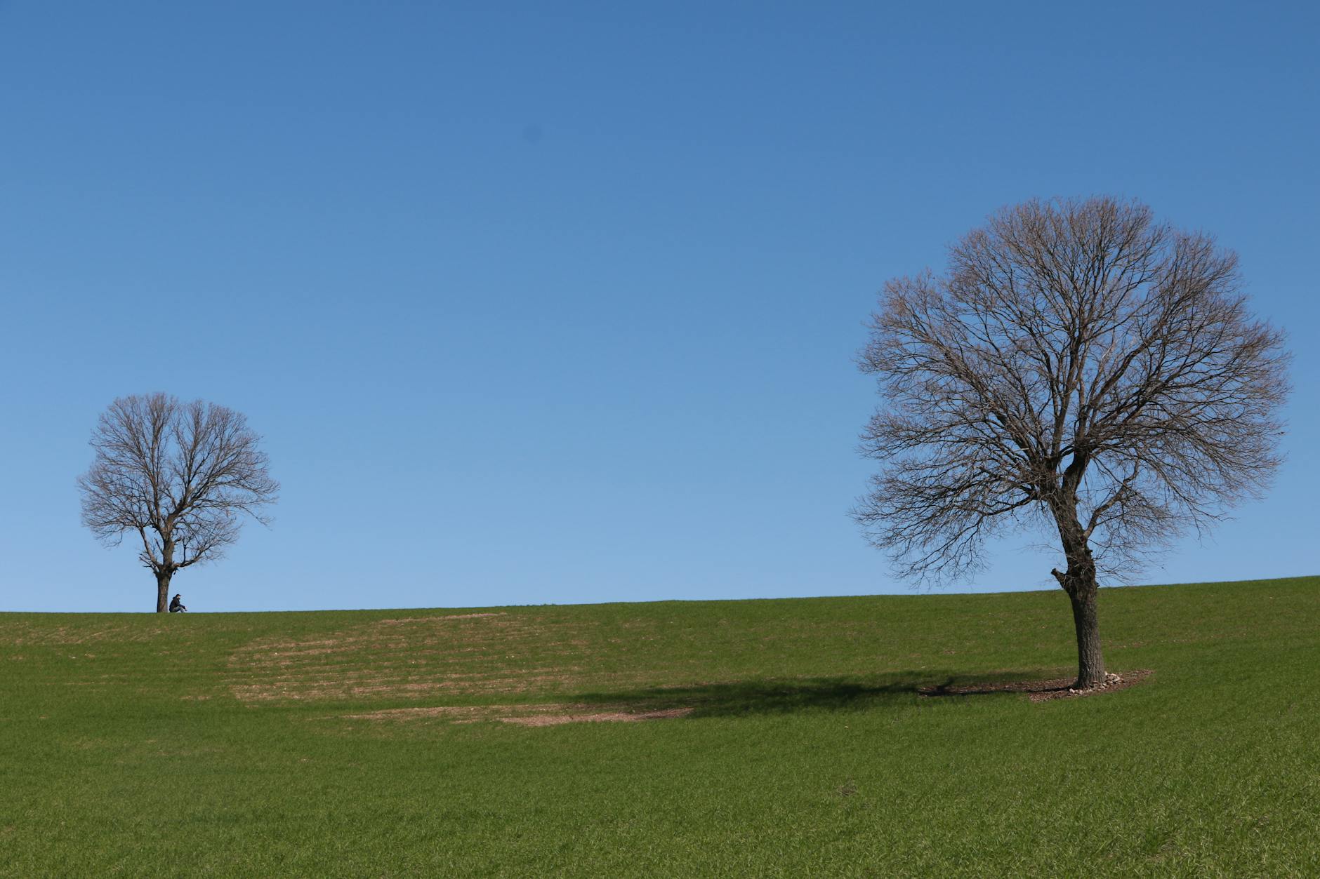 How Prolific Stacks Up Against Specific Competitors