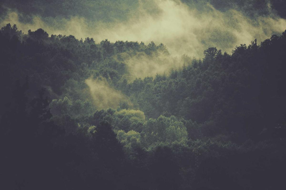 Important Limitations and Conditions You Must Know Before Applying