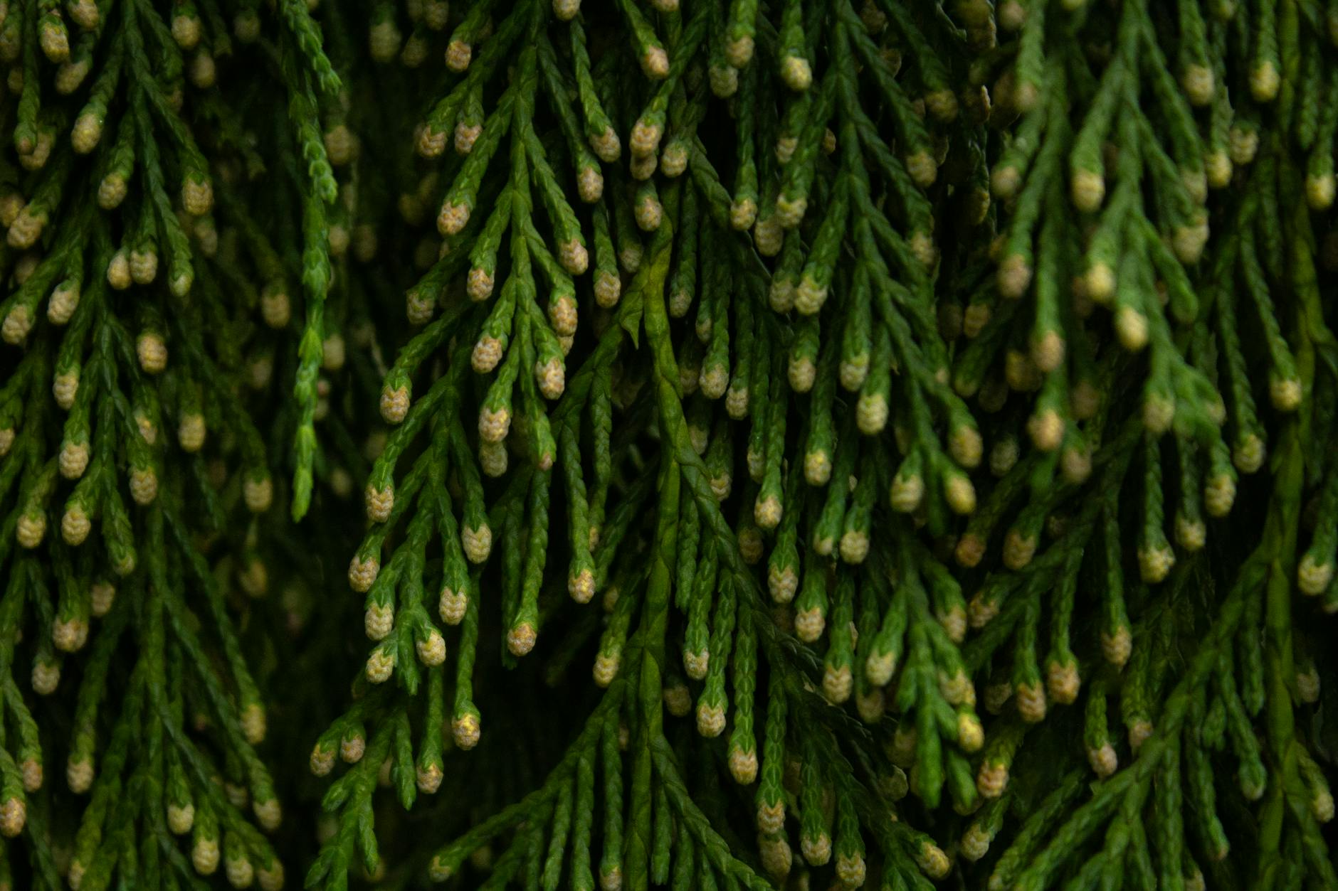 Is KashKick a Legitimate Platform or Just Another Survey Site That Wastes Your Time?