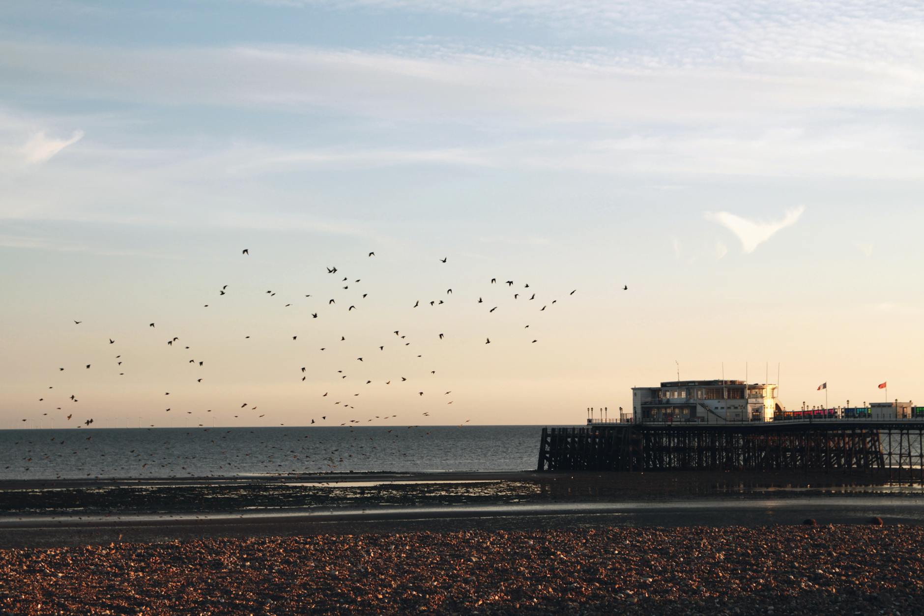 Is Respondent.io Worth It? How to Get Into High-Paying Research Studies Paying $100+ - Featured image