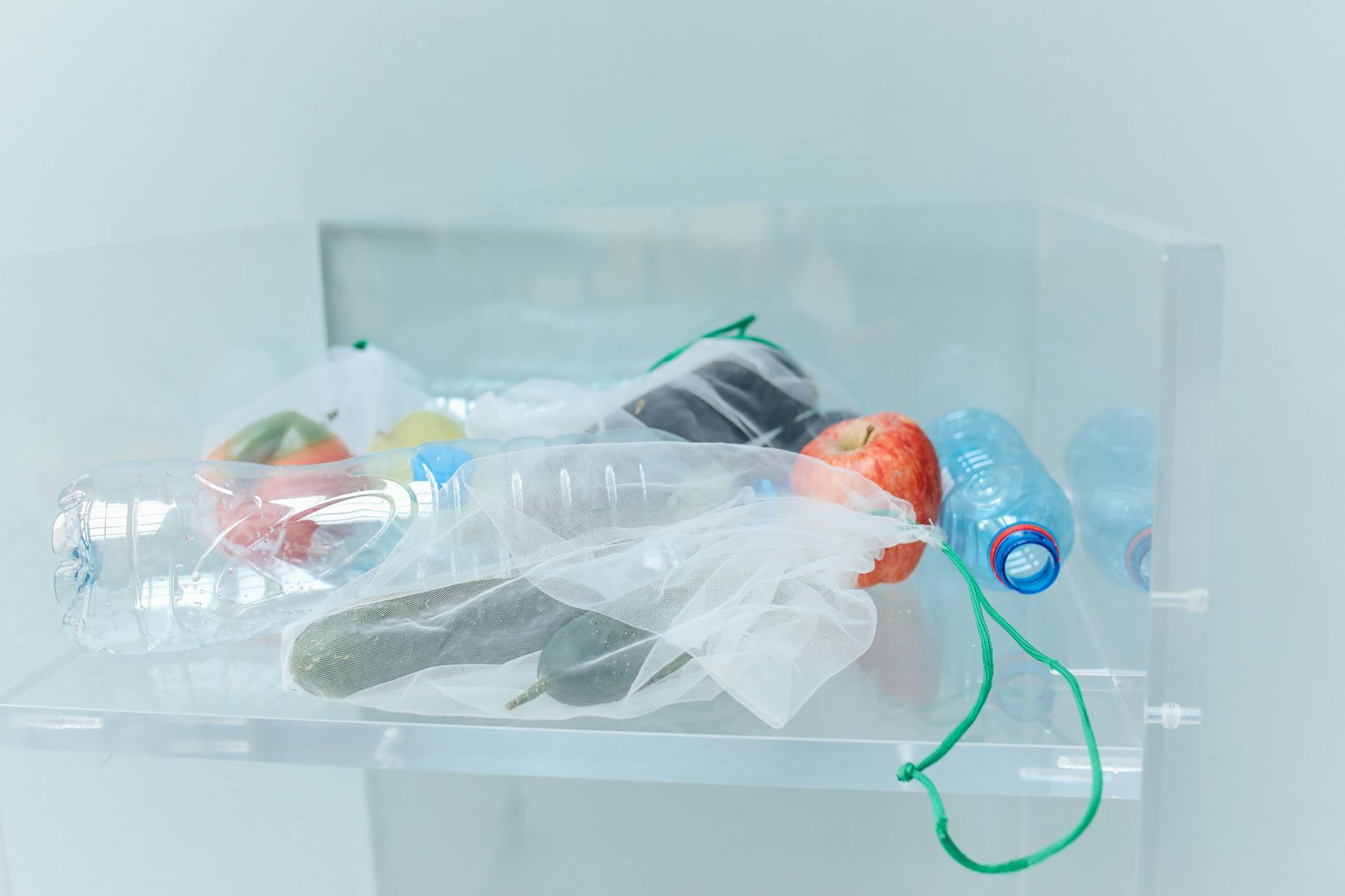 Proper Storage That Prevents Waste and Keeps Food Safe