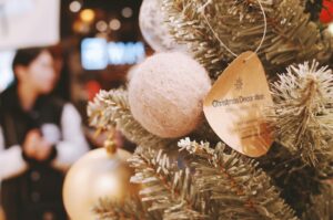 Sam's Club vs. Costco: Which Membership Pays for Itself Fastest - Featured image