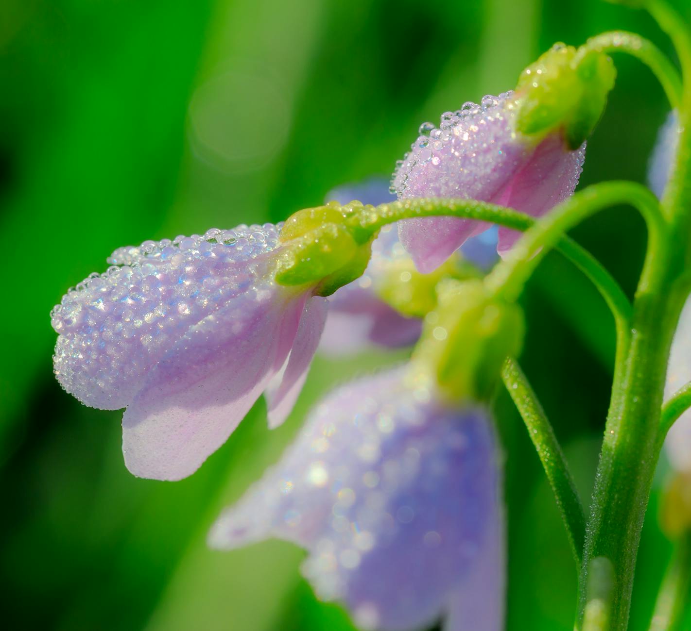 What Are Early Withdrawal Penalties and How Much Do They Cost?