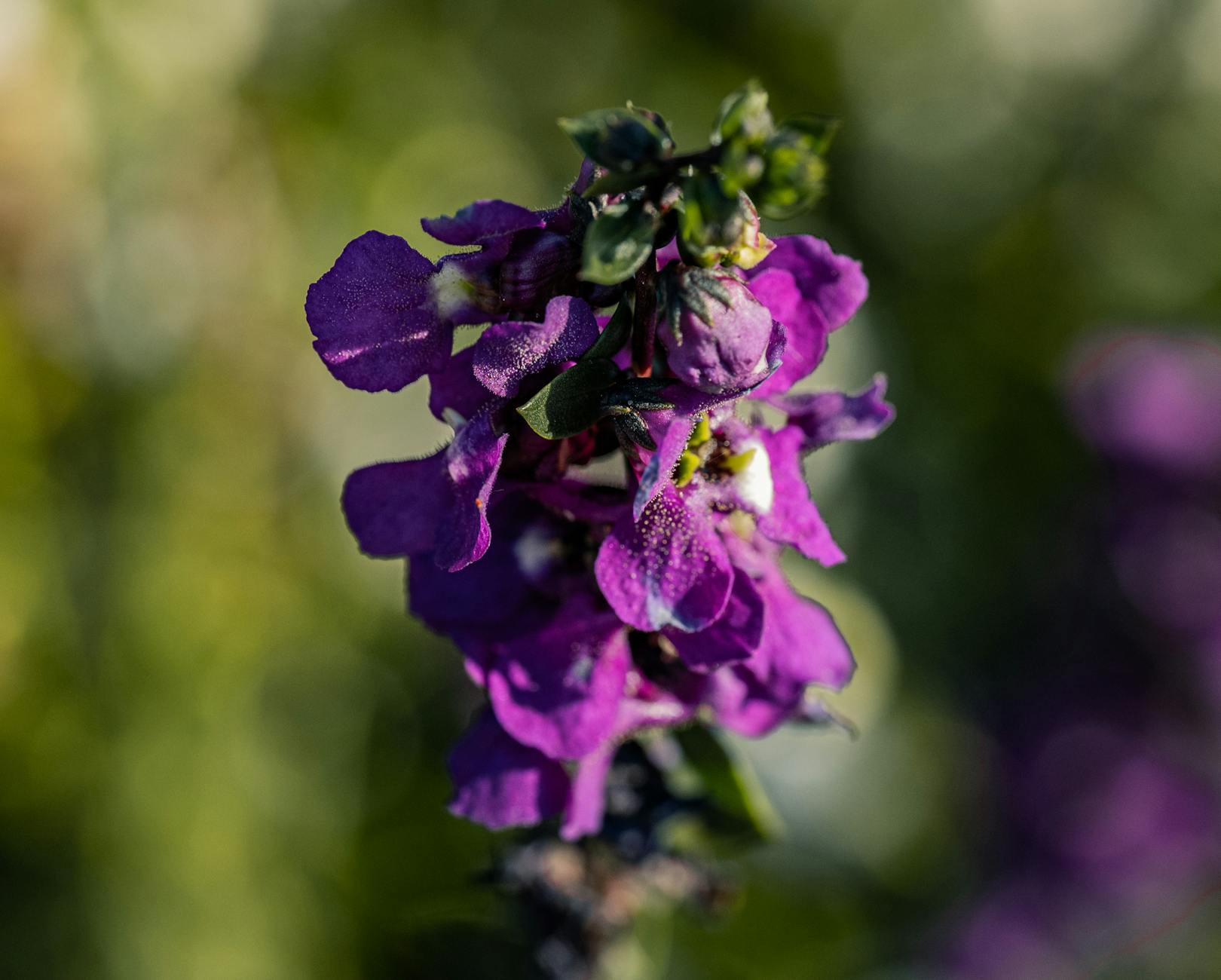 What Are Free Home Energy Audit Programs and How Do They Save You Money?