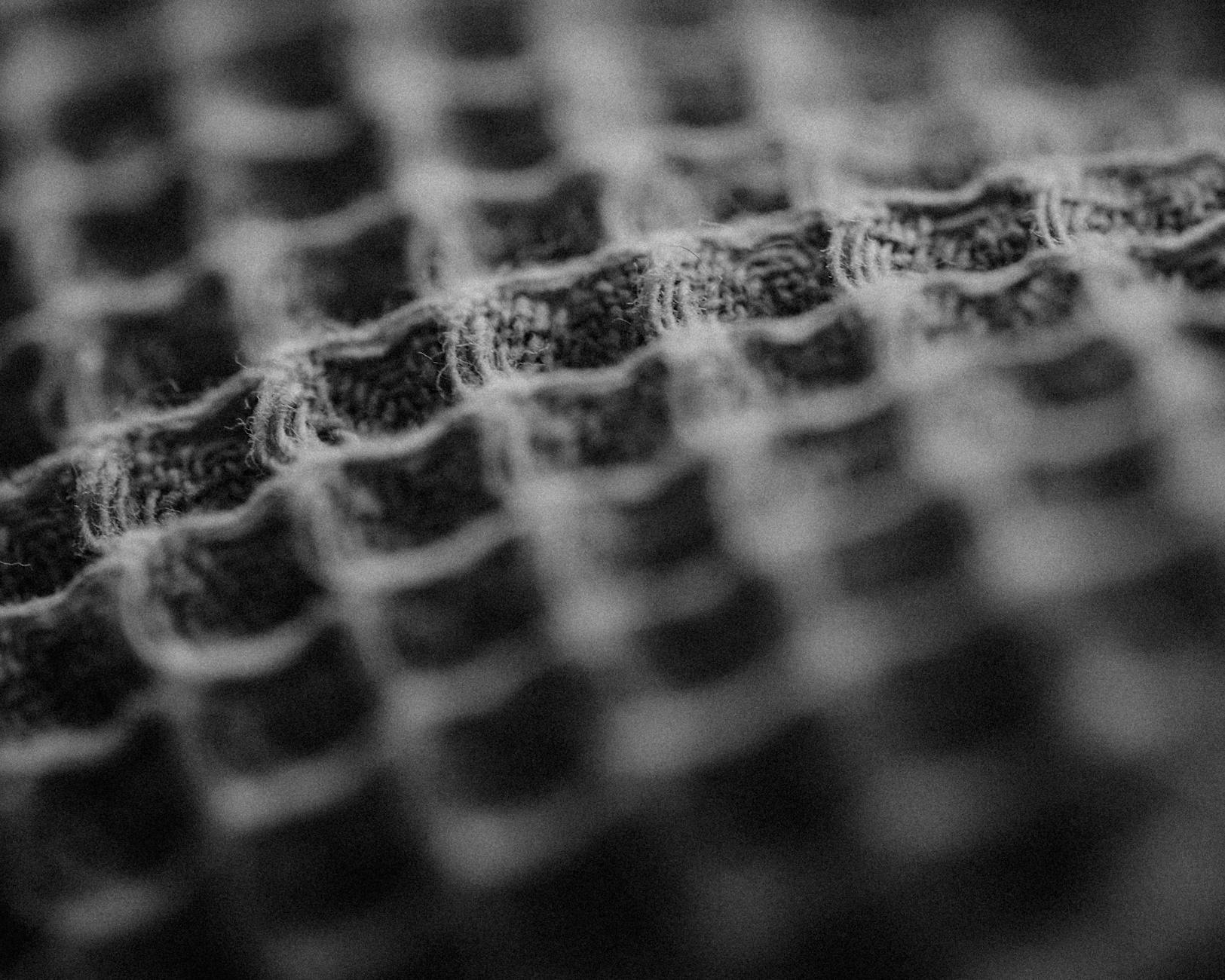 What Are High-Yield Savings Bonuses and How Do They Work?