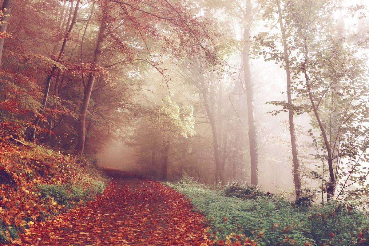 What Are the Bank-Specific Waiting Periods and Eligibility Traps?