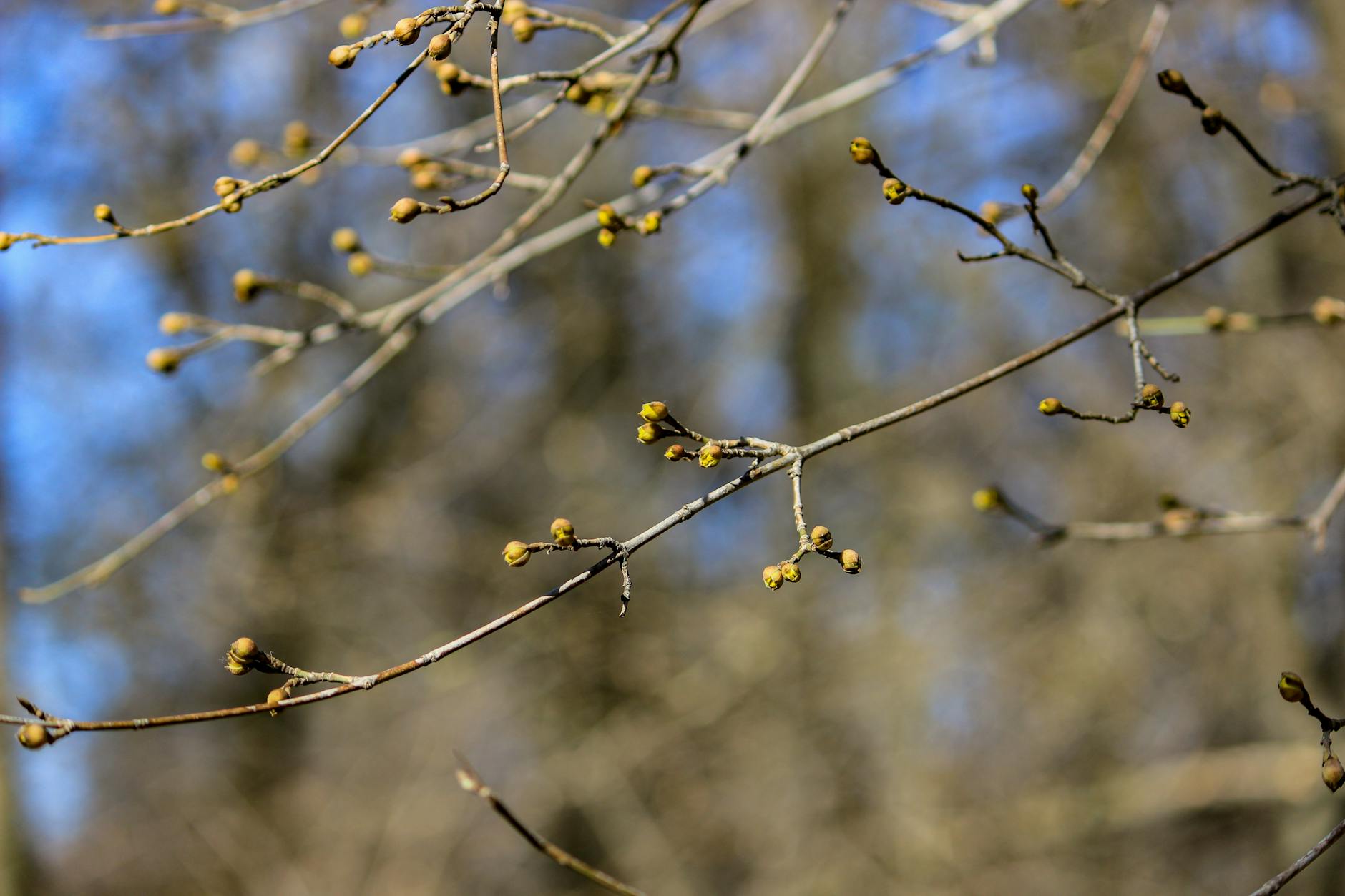 What Are the Best New Bank Bonuses and Sign-Up Promotions for March 2026?