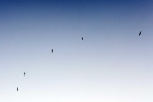 How To Compare Bank Bonuses The Right Way - Featured image