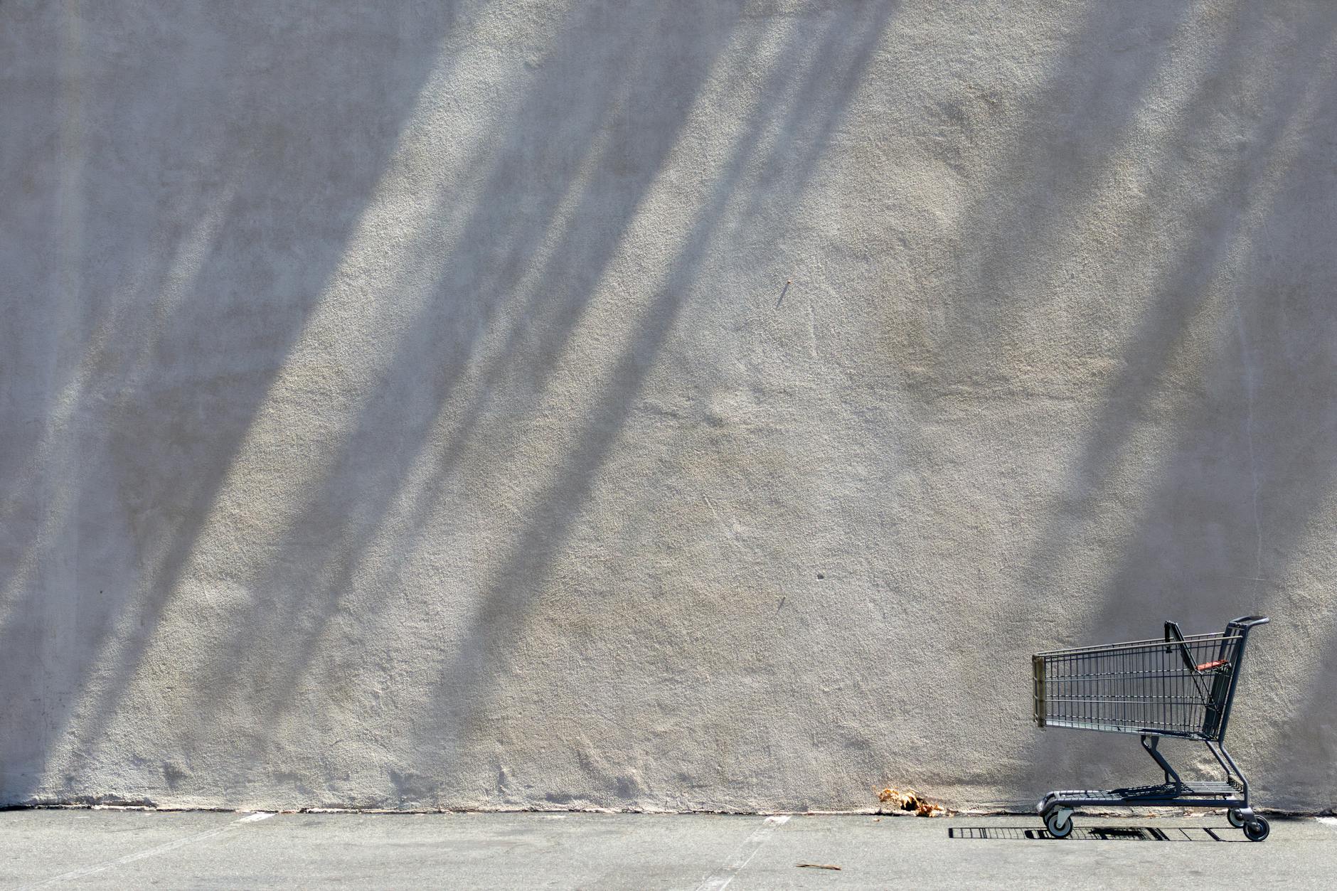 THE FUTURE OF COSTCO'S NON-MEMBER POLICIES: