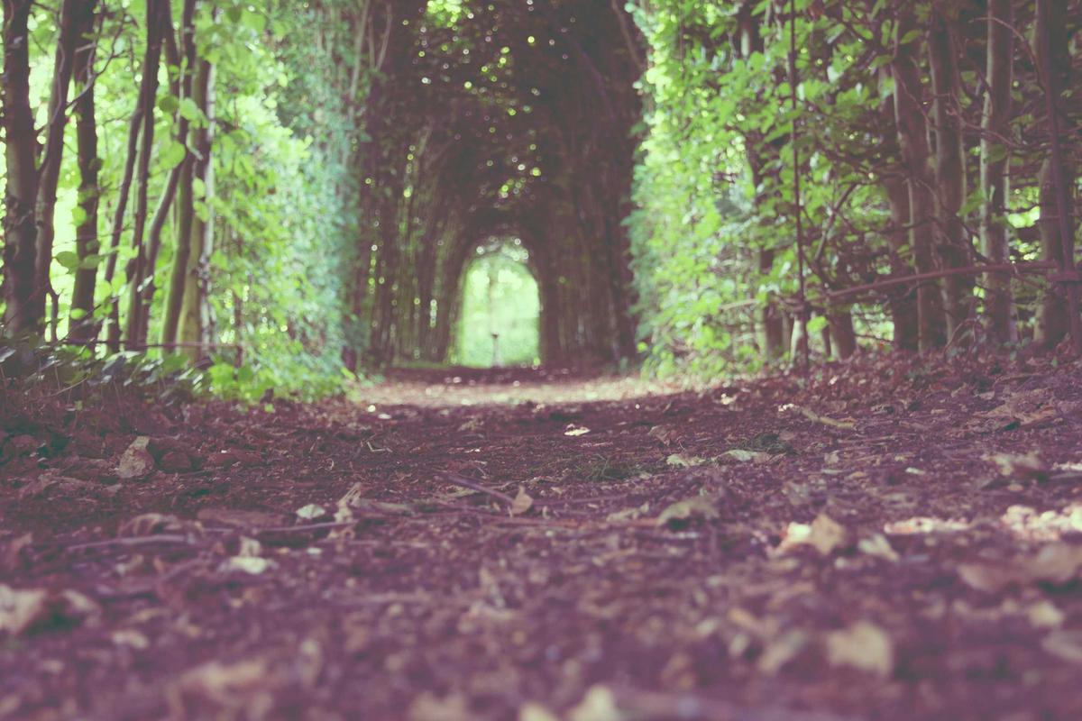 What Are The Hidden Costs And Requirements You're Actually Agreeing To?