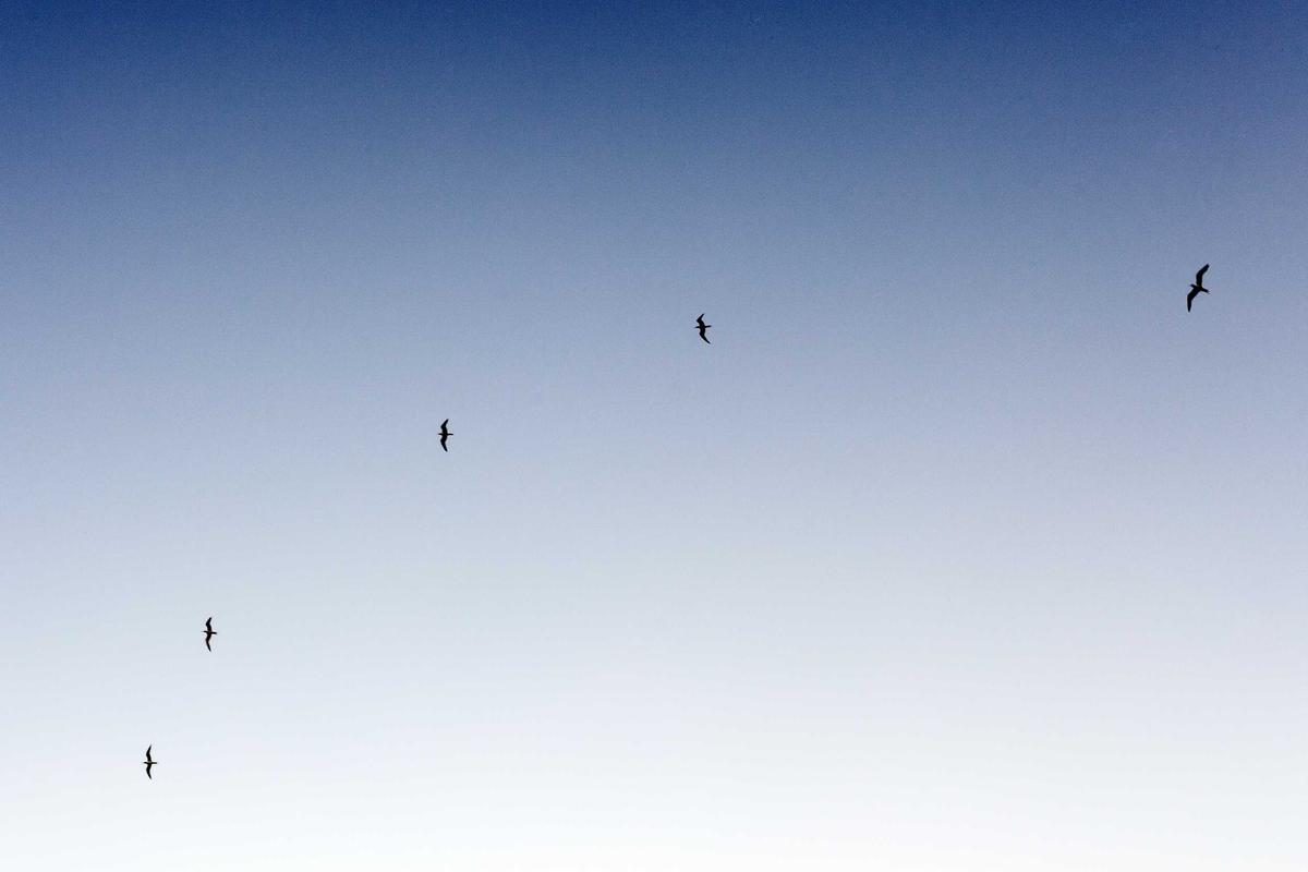 What Makes a Bank Bonus Simple vs. Complicated?