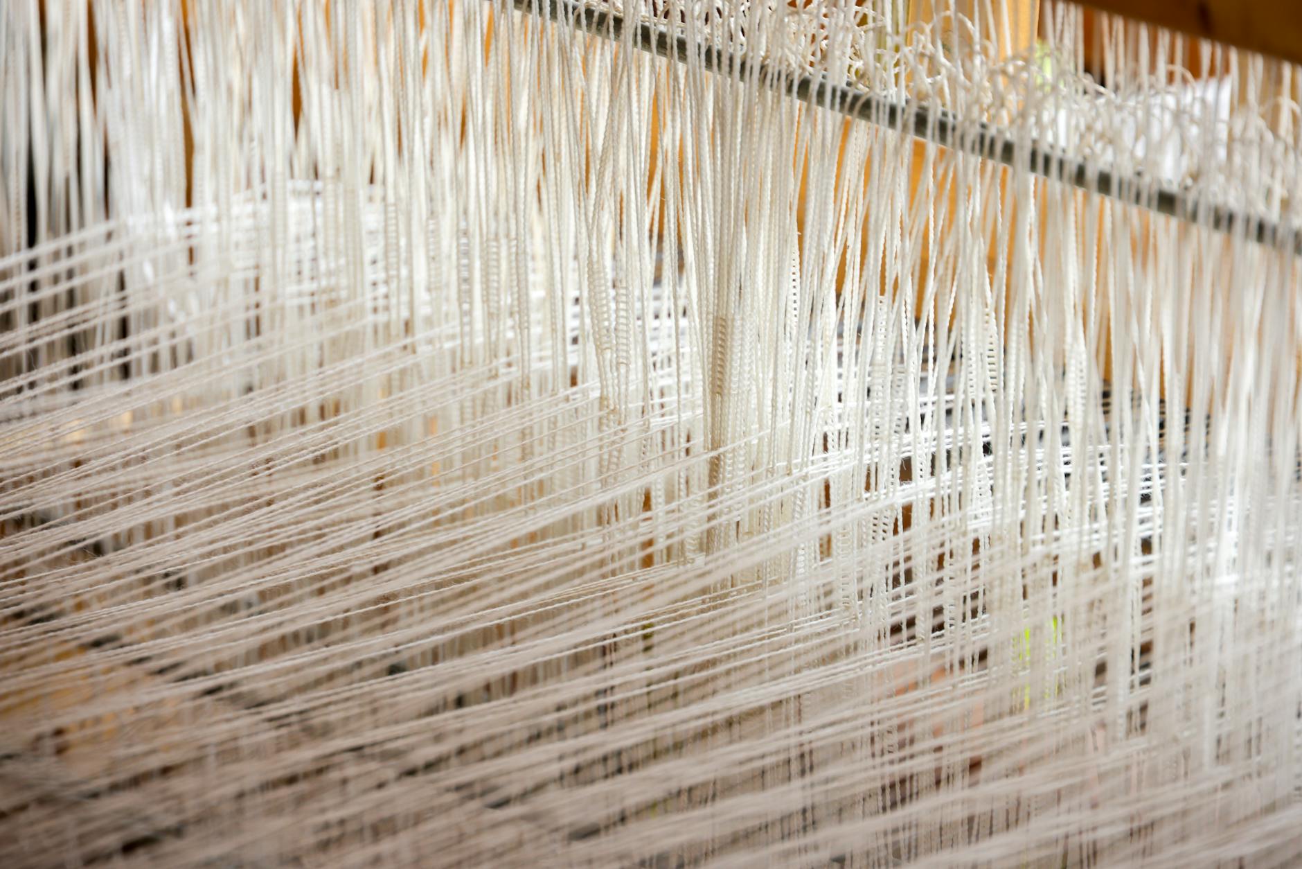 What Makes a High-Yield Savings Account Ideal for Emergency Funds?