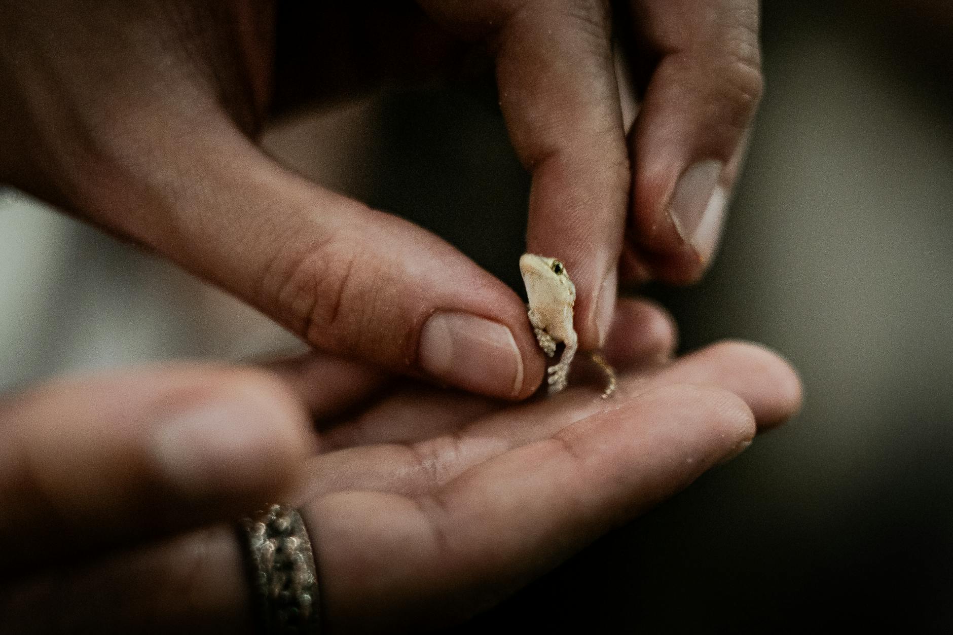 What Options Exist for Returning Items Without a Shipping Label?