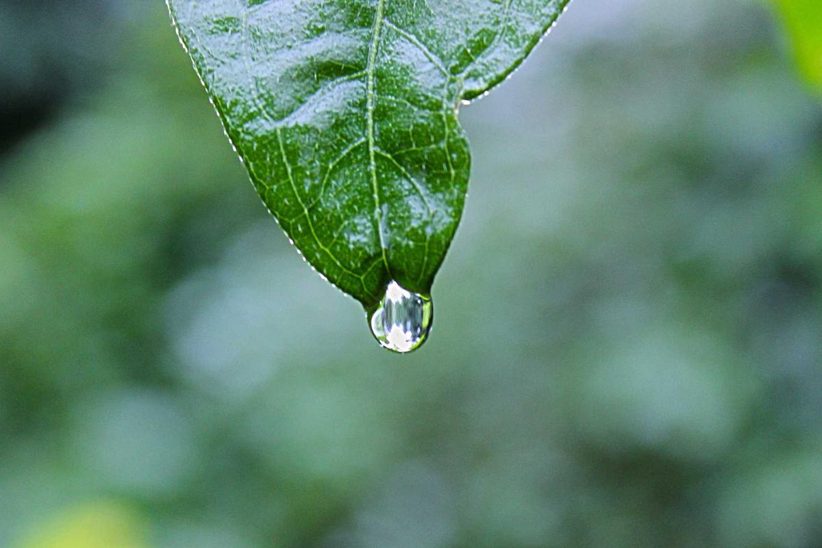 What Risks Should You Know About Before Switching?