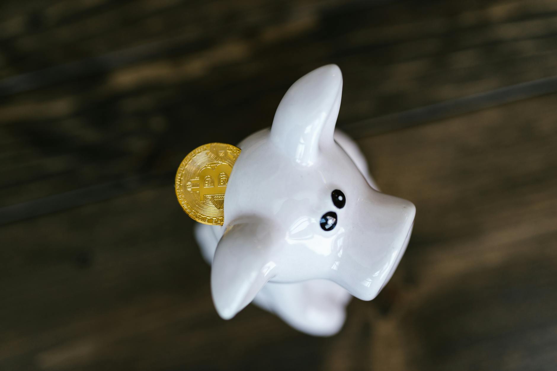 Digital Tools and Loyalty Programs to Watch For