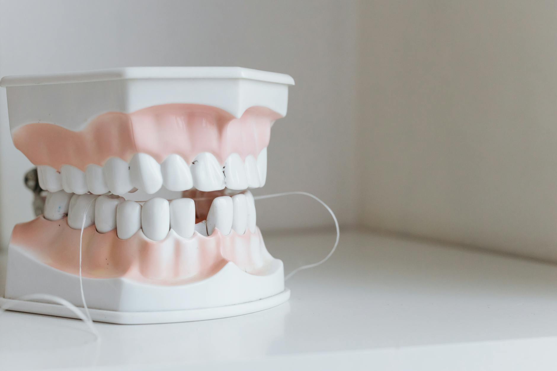 How Dental Savings Plans Work vs. Traditional Dental Insurance