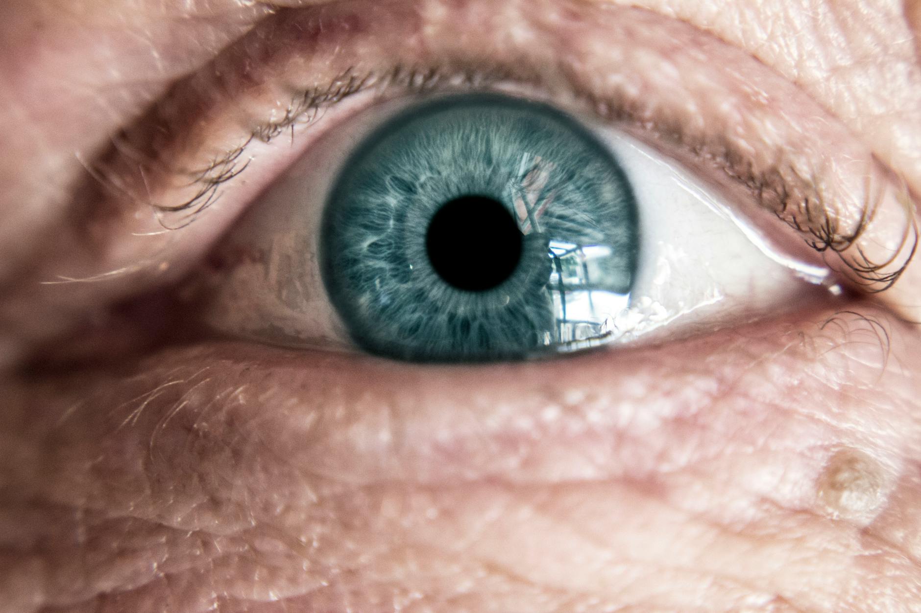 How Much Does Vision Care Actually Cost Without Insurance?