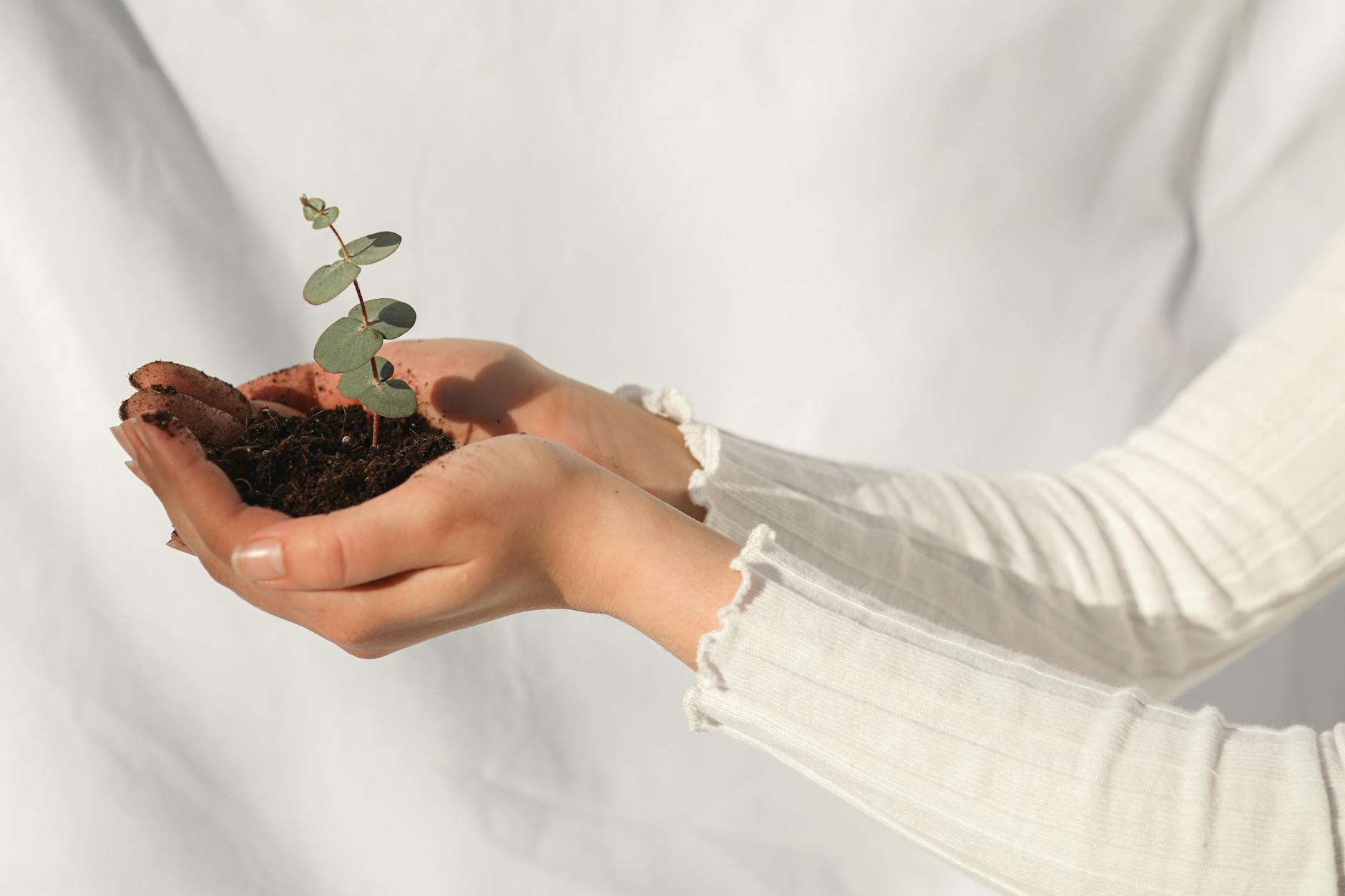 Investment Growth and Long-Term Wealth Building