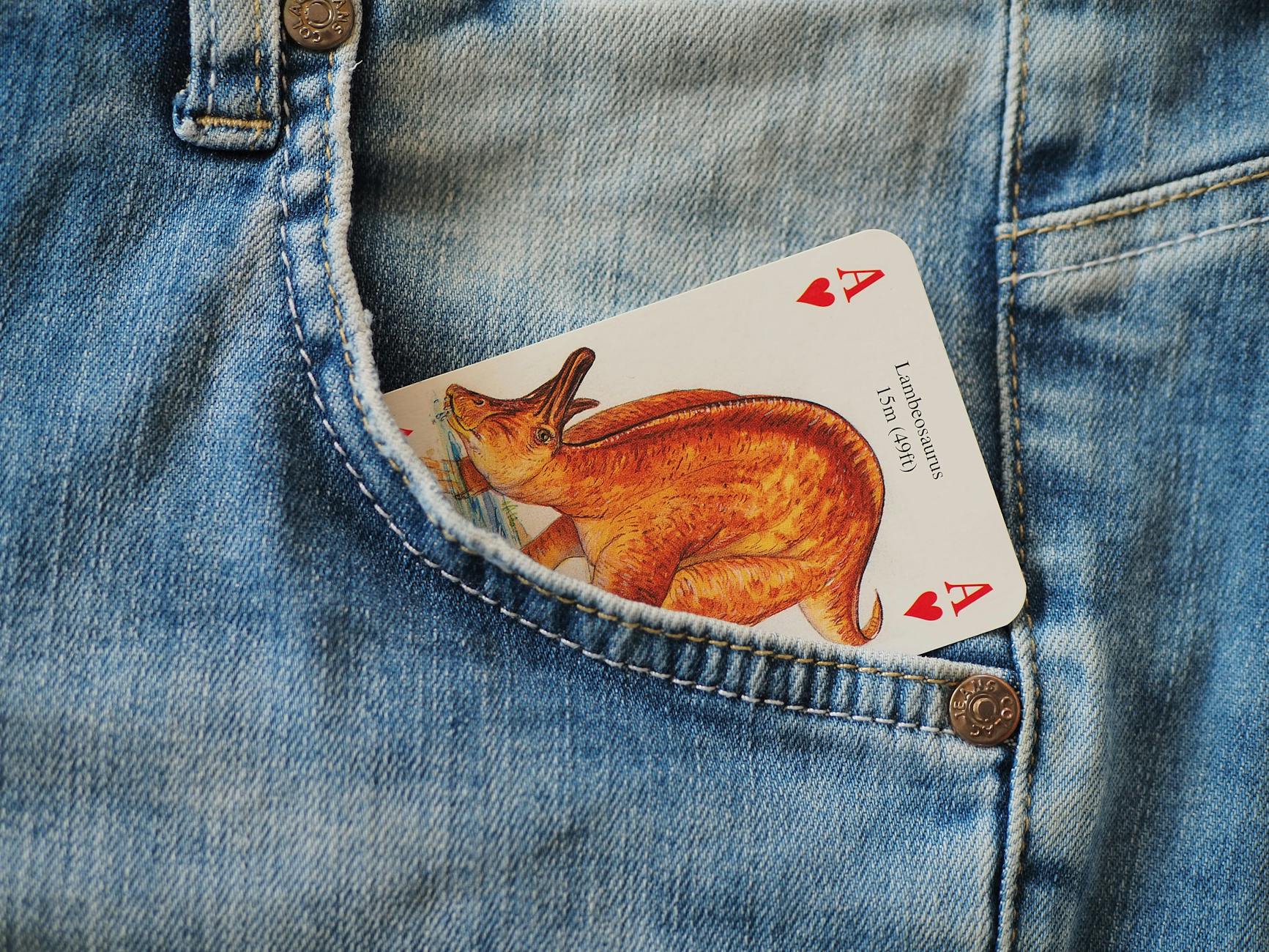 What Is an Out-of-Pocket Maximum and Why Does Scheduling Matter?