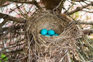 Self-Employed Retirement Accounts That Slash Your Tax Bill - Featured image